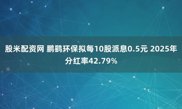 股米配资网 鹏鹞环保拟每10股派息0.5元 2025年分红率42.79%